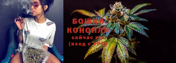 дживик Беломорск