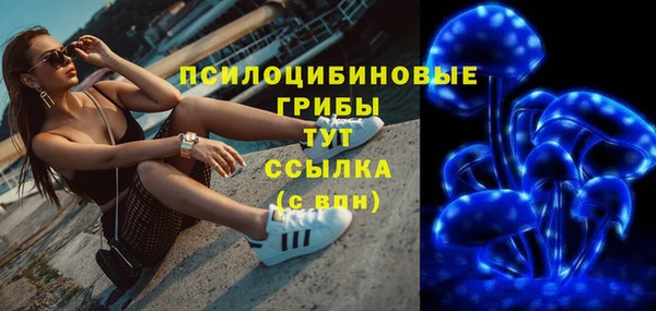 apvp Богородск